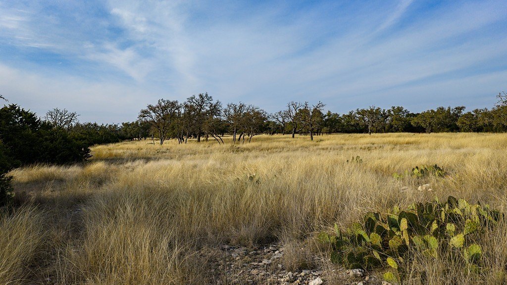 Picture 21
