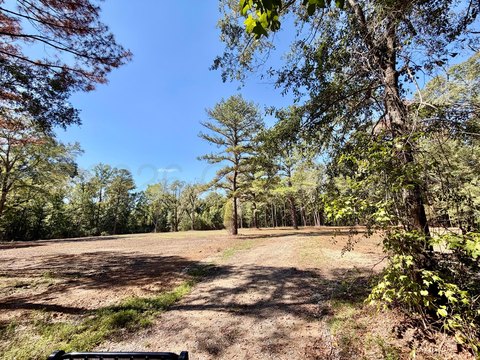 Lots & Acreage, Livingston, AL
