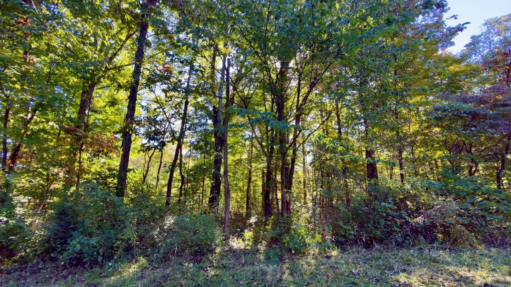 Picture 35
