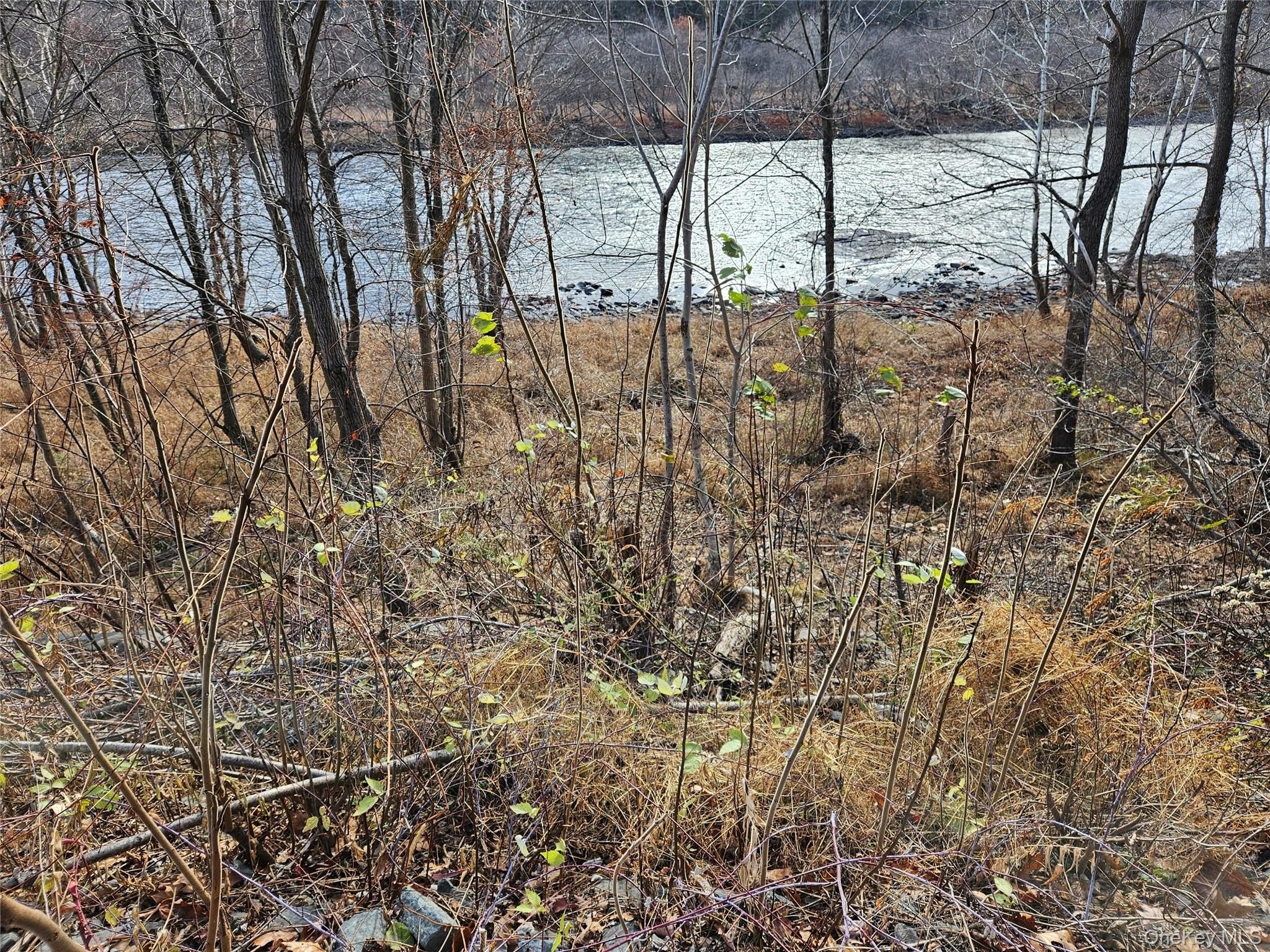 Land with Delaware River Access