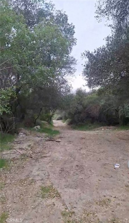 Picture 7