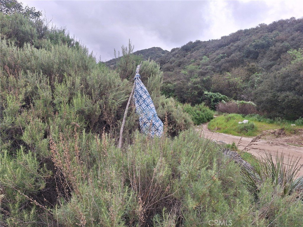 Picture 24