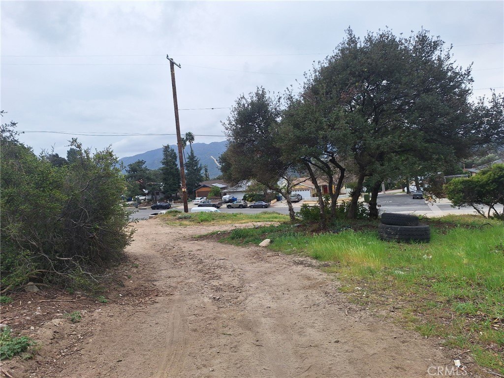 Picture 3