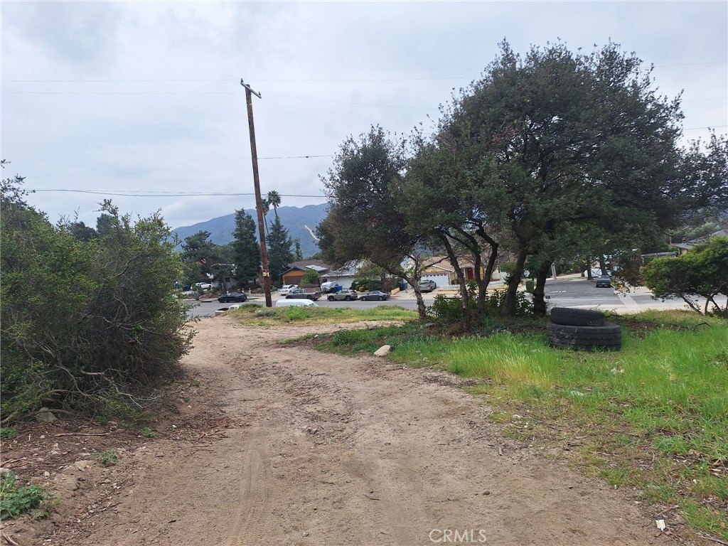 Picture 19