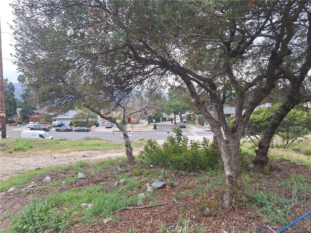 Picture 20