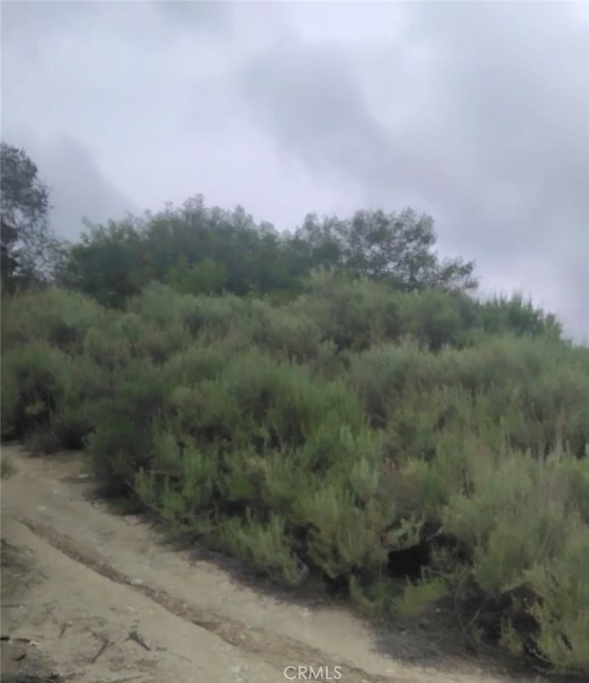 Picture 22
