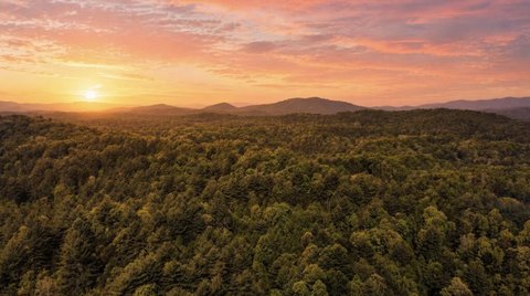 LAND - Mineral Bluff, GA