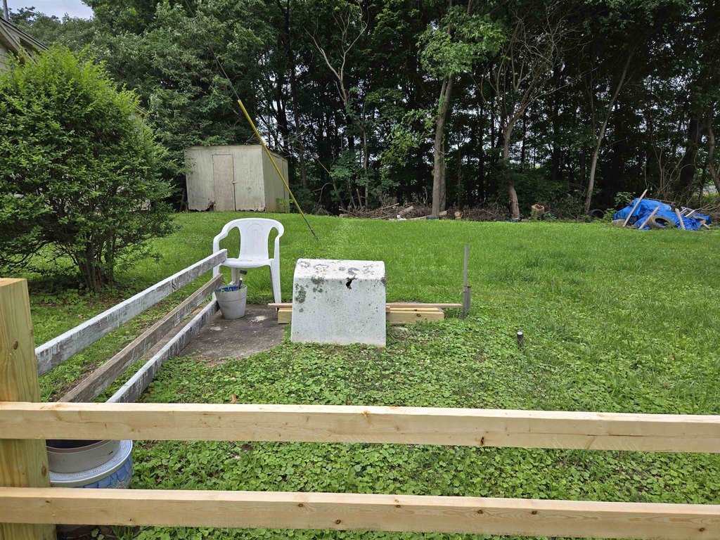 Picture 4