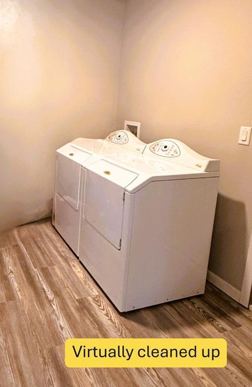 Picture 15