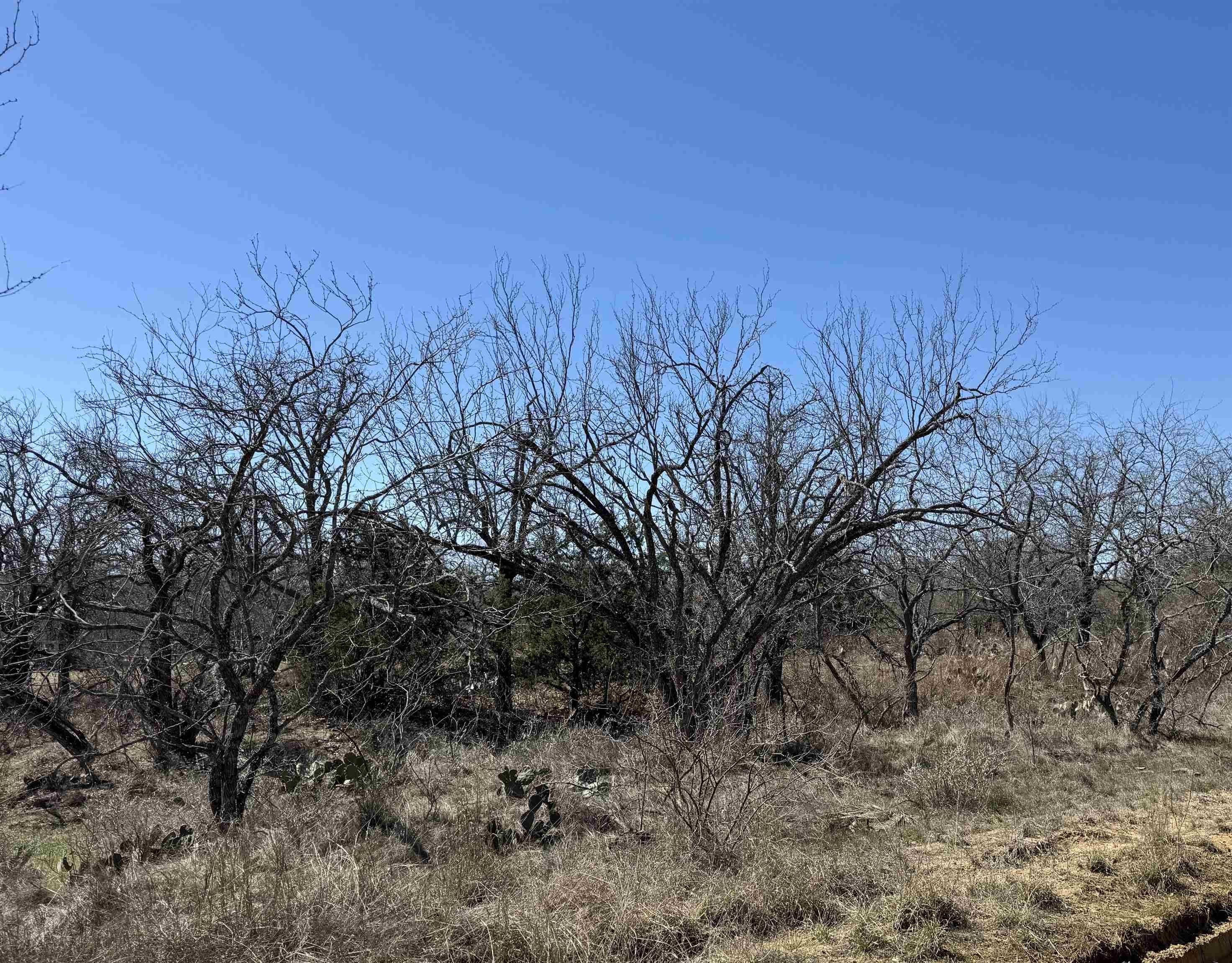 Residential Land Near Lake LBJ