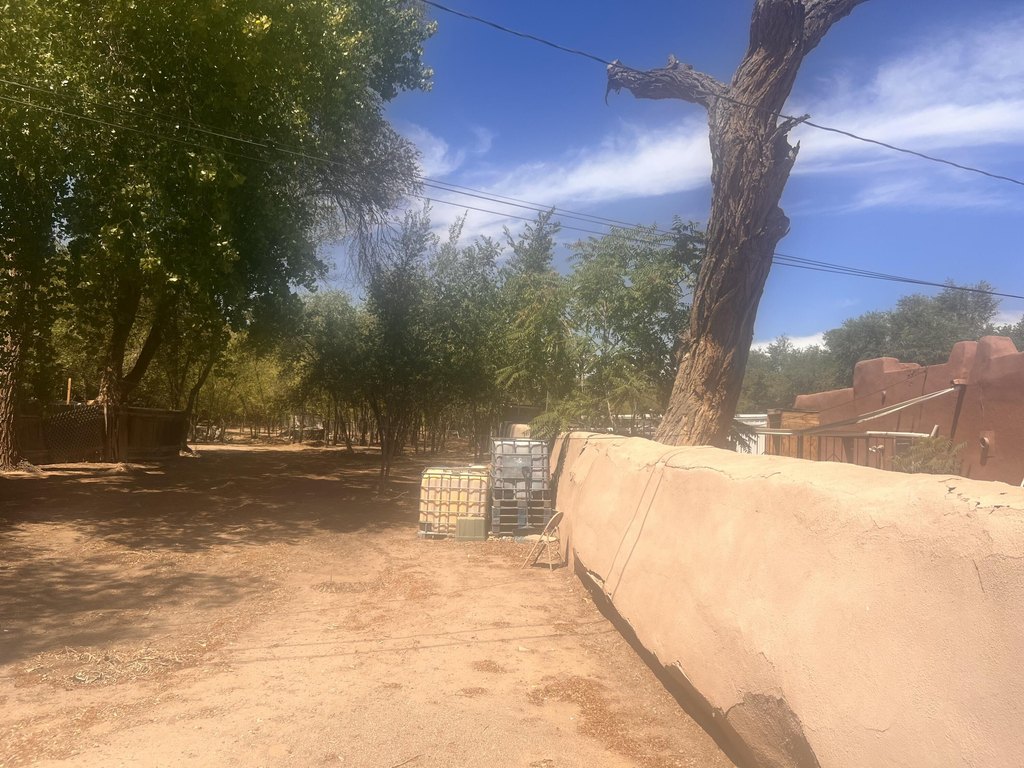Picture 3