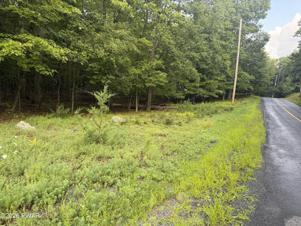 Picture 11