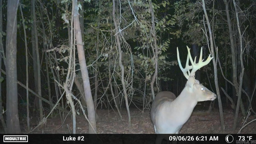Picture 31