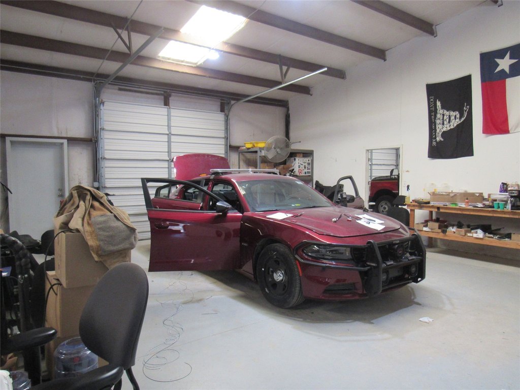 Picture 11