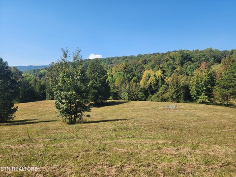 Lots & Acreage, Rockwood, TN