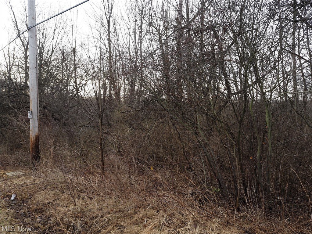 Vacant Land in Chagrin Falls