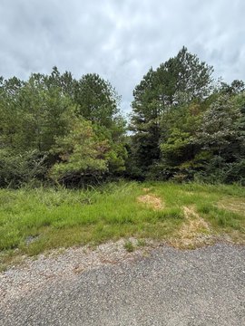 LAND - Double Springs, AL