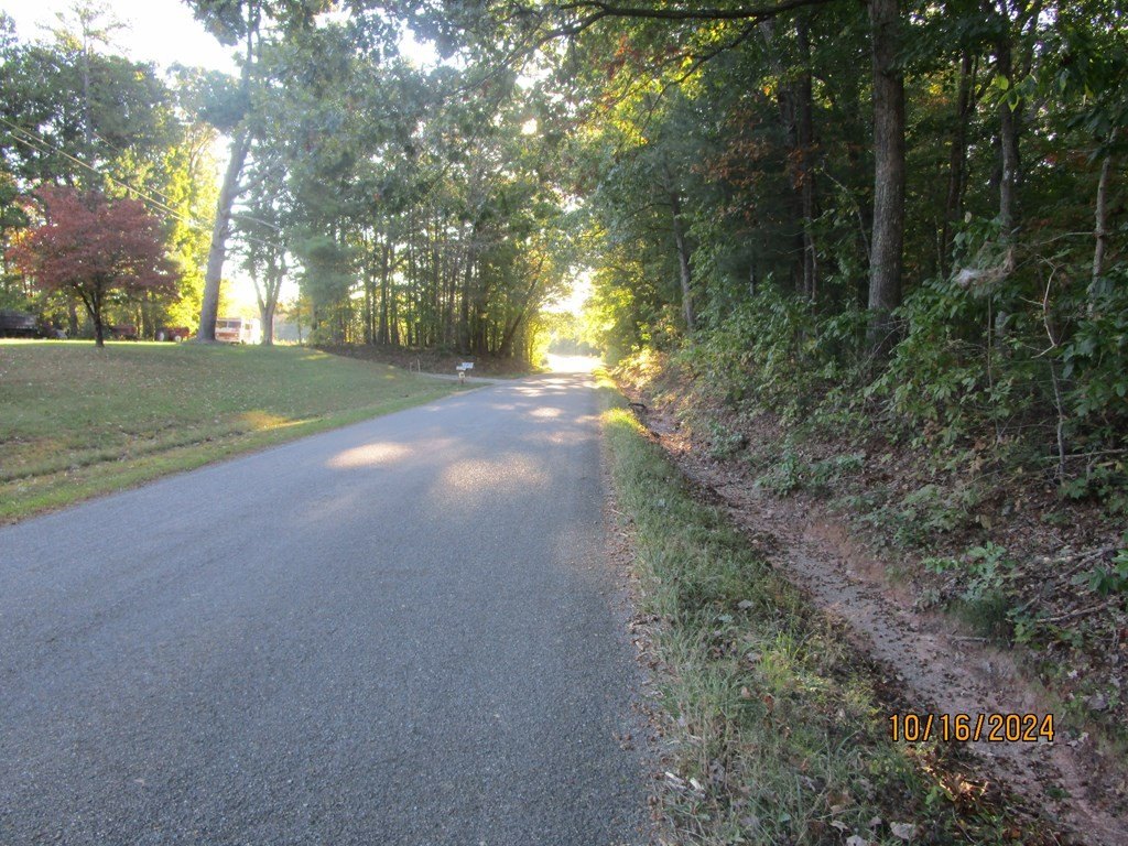 Picture 2