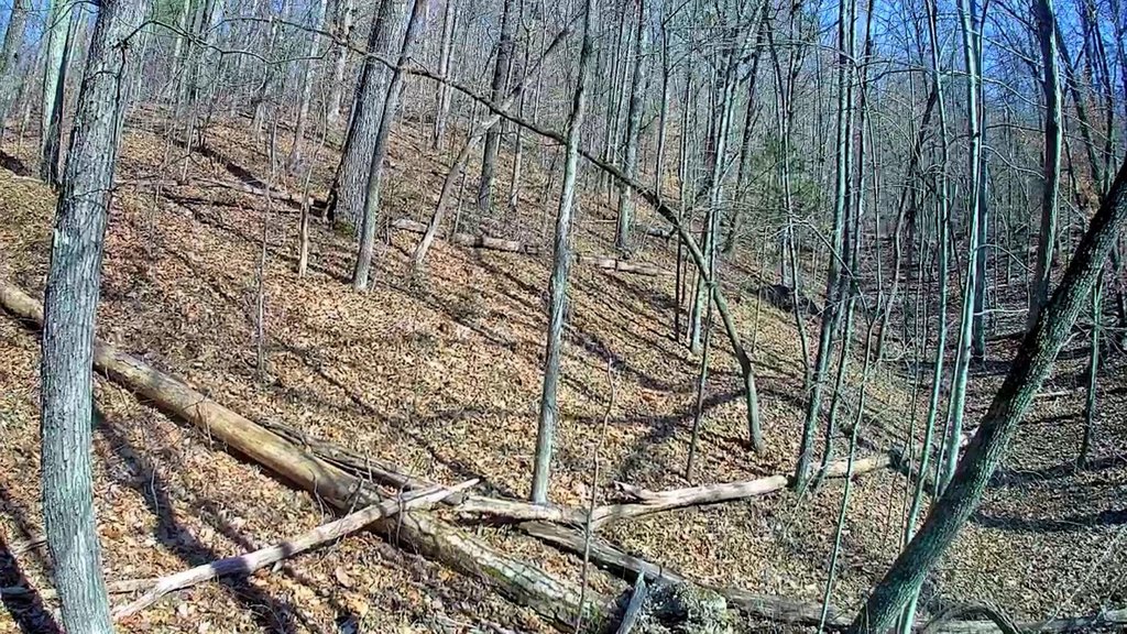 Picture 3