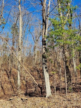Land, Trenton, GA