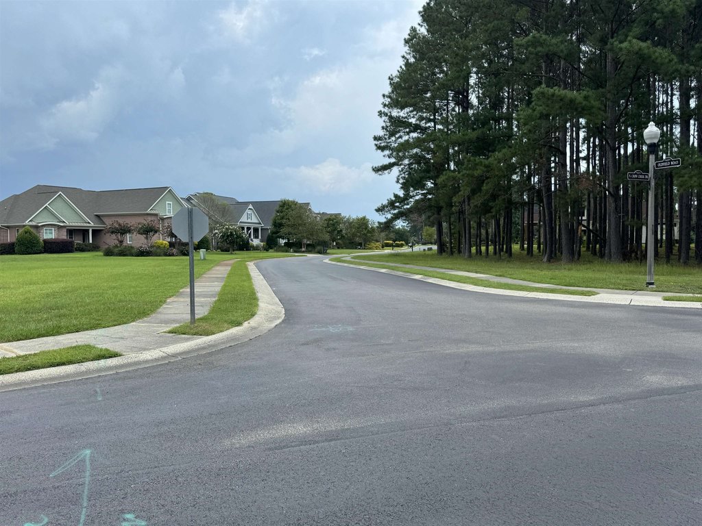 Picture 21