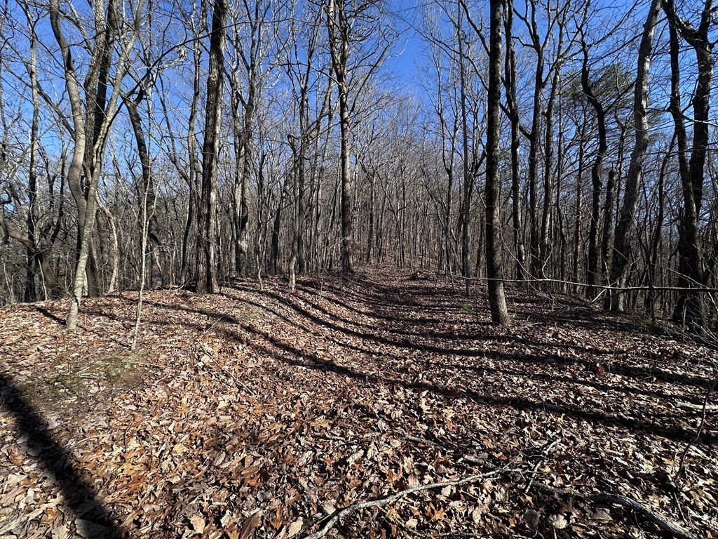 Picture 16