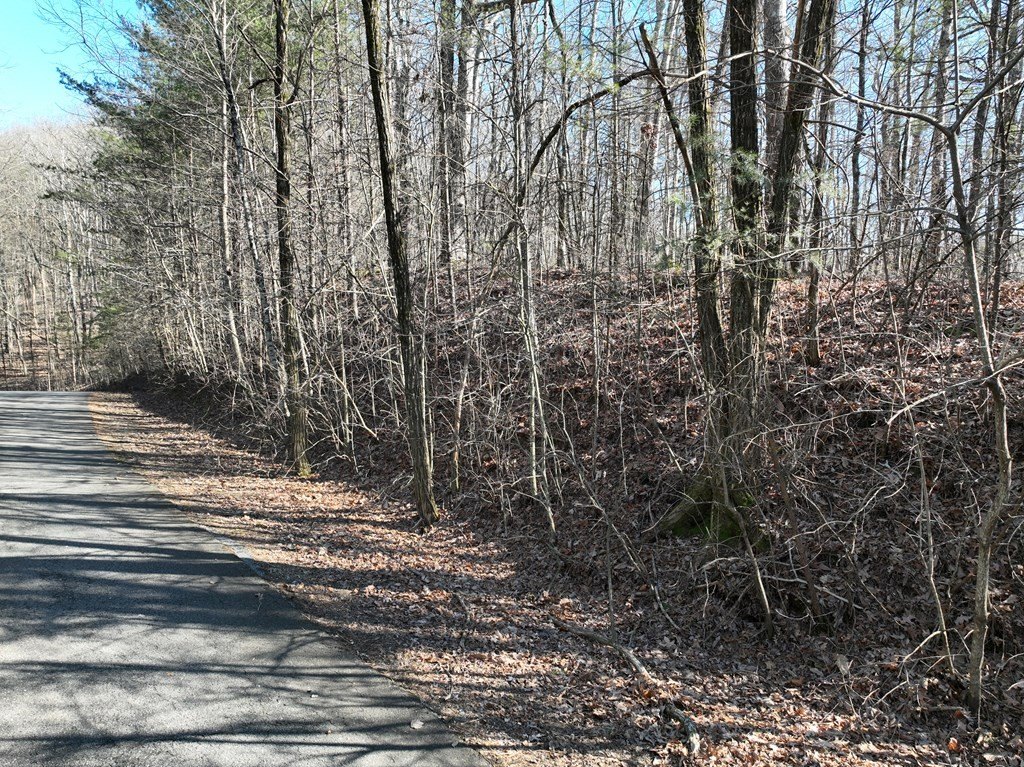 Picture 37