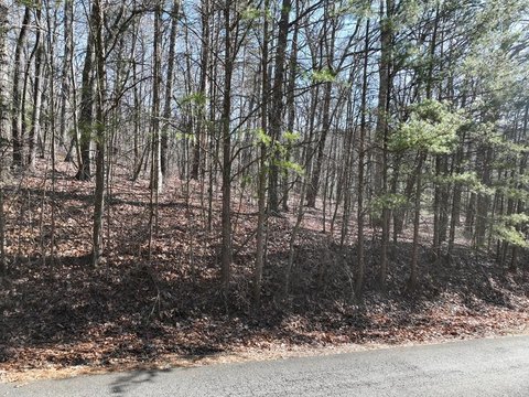 Vacant Lot - Ellijay, GA