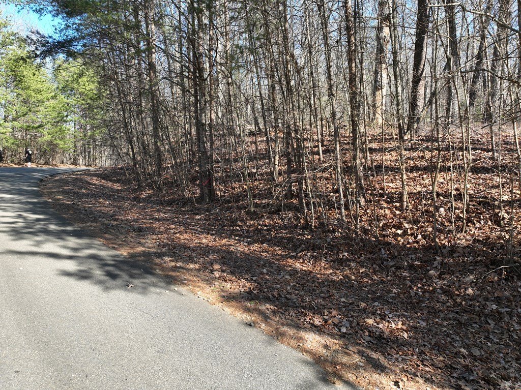 Picture 38