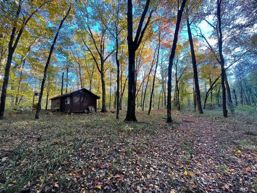 Picture 9