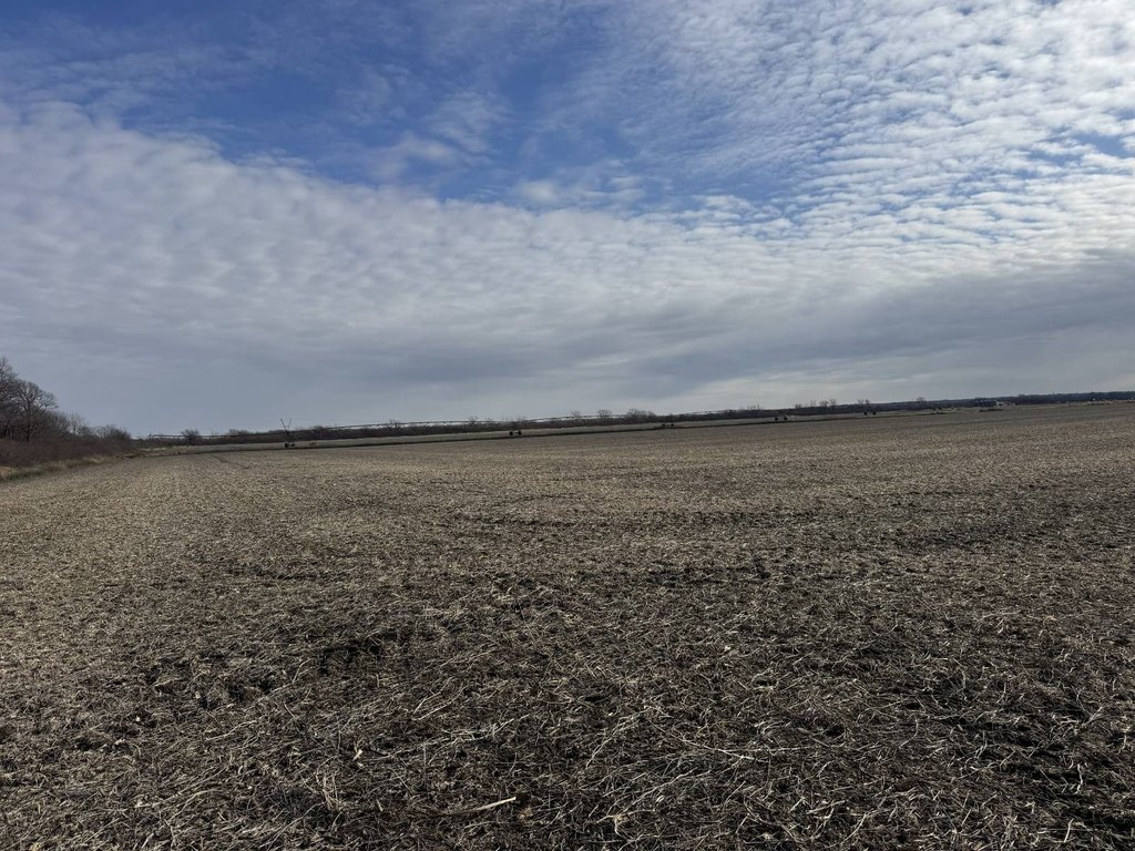 Picture 14