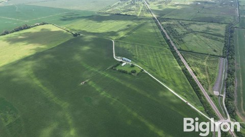 Irrigated Farmland