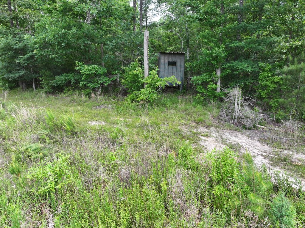Picture 25