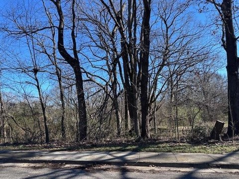 Residential Land in Memphis, TN