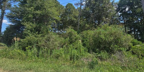 Land, Haleyville, AL