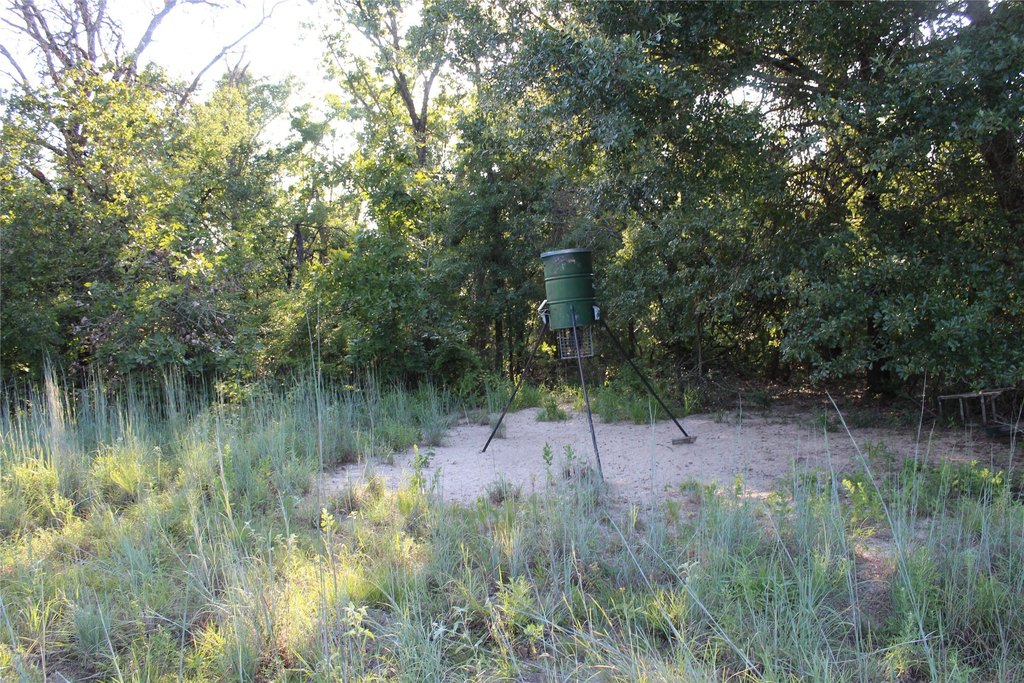 Picture 8