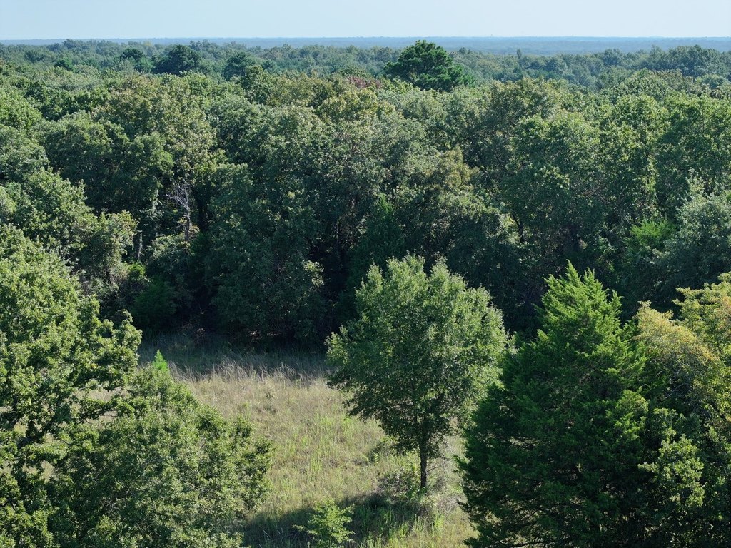 Picture 22
