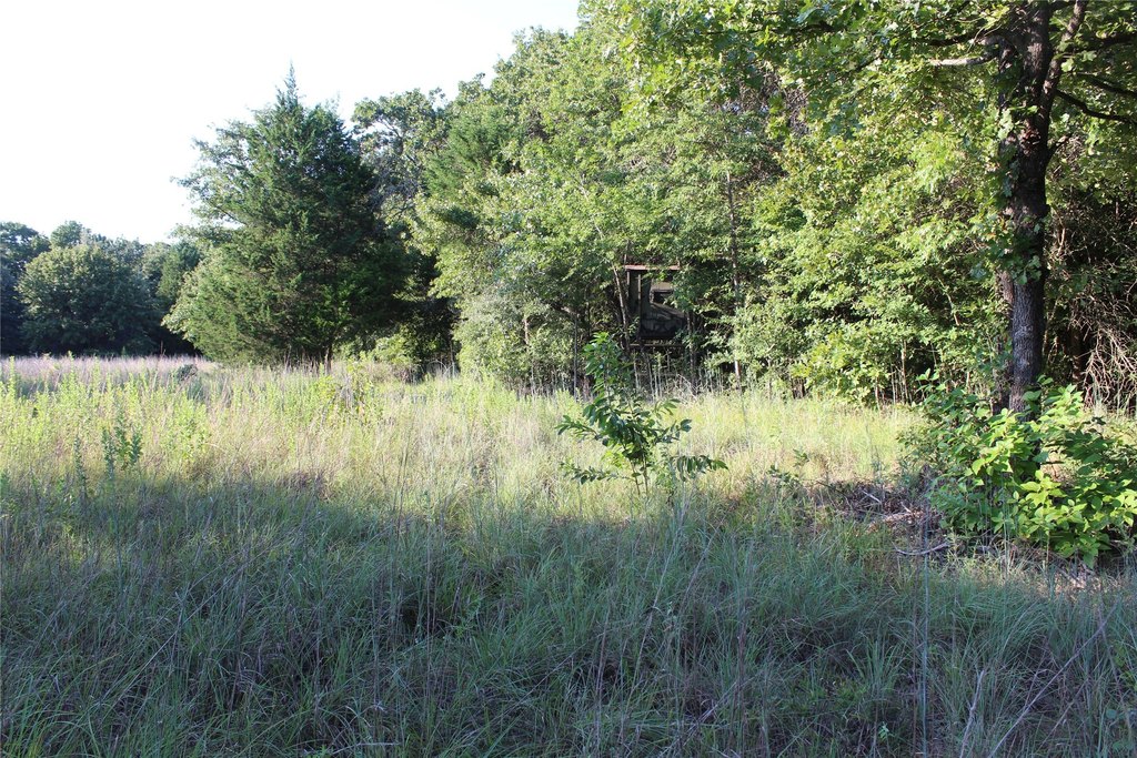 Picture 10