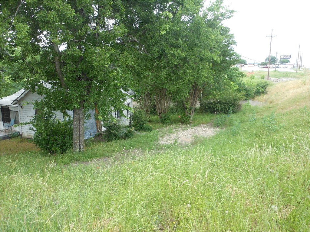 Picture 7