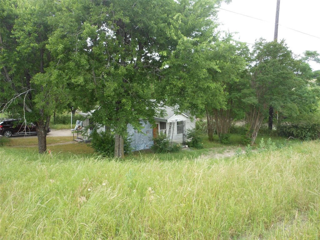 Picture 6