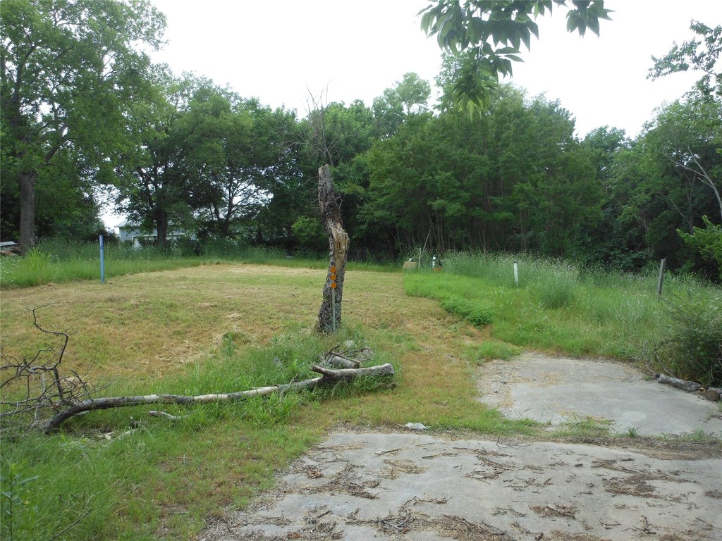 Picture 4