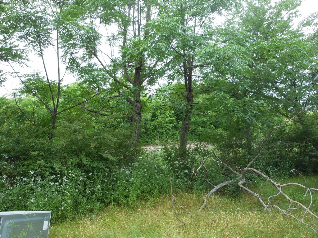 Picture 3