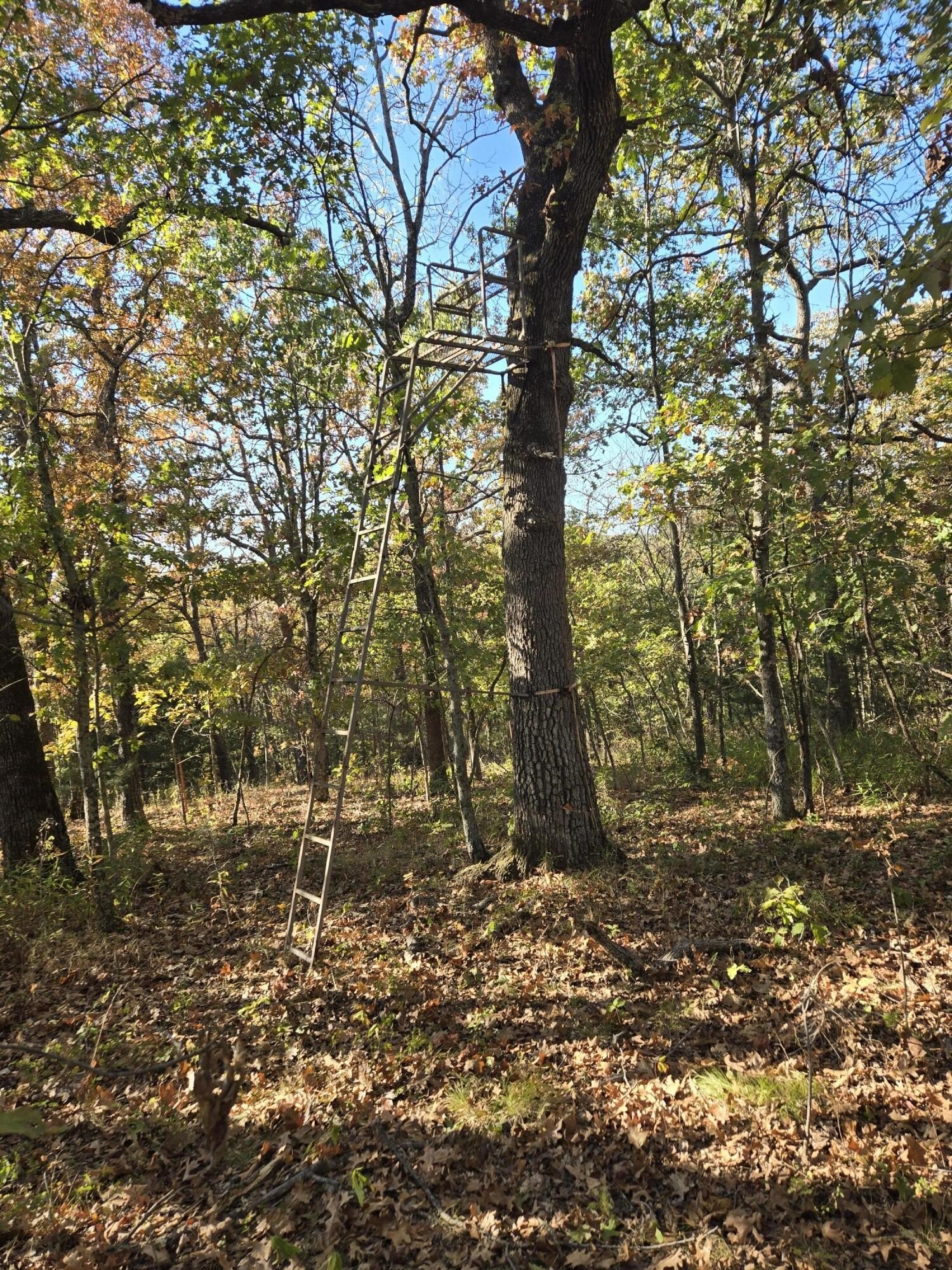 167 Acres of Land, Ava