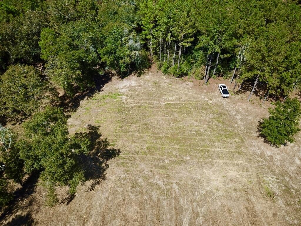 Picture 15