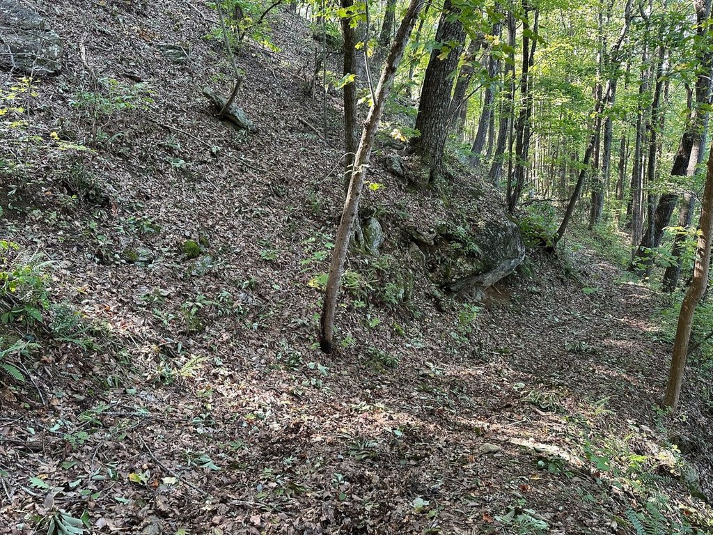 Picture 12