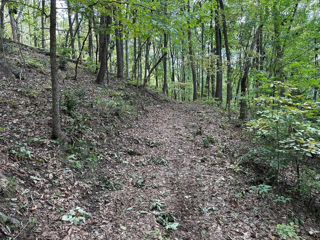 Picture 22
