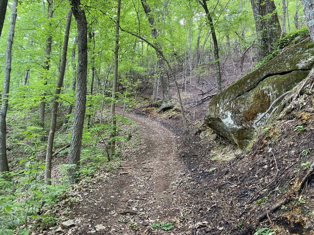 Picture 4