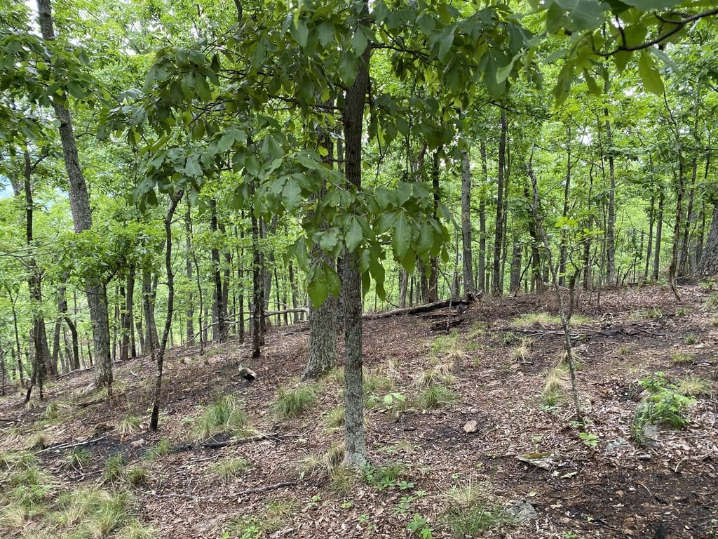 Picture 38