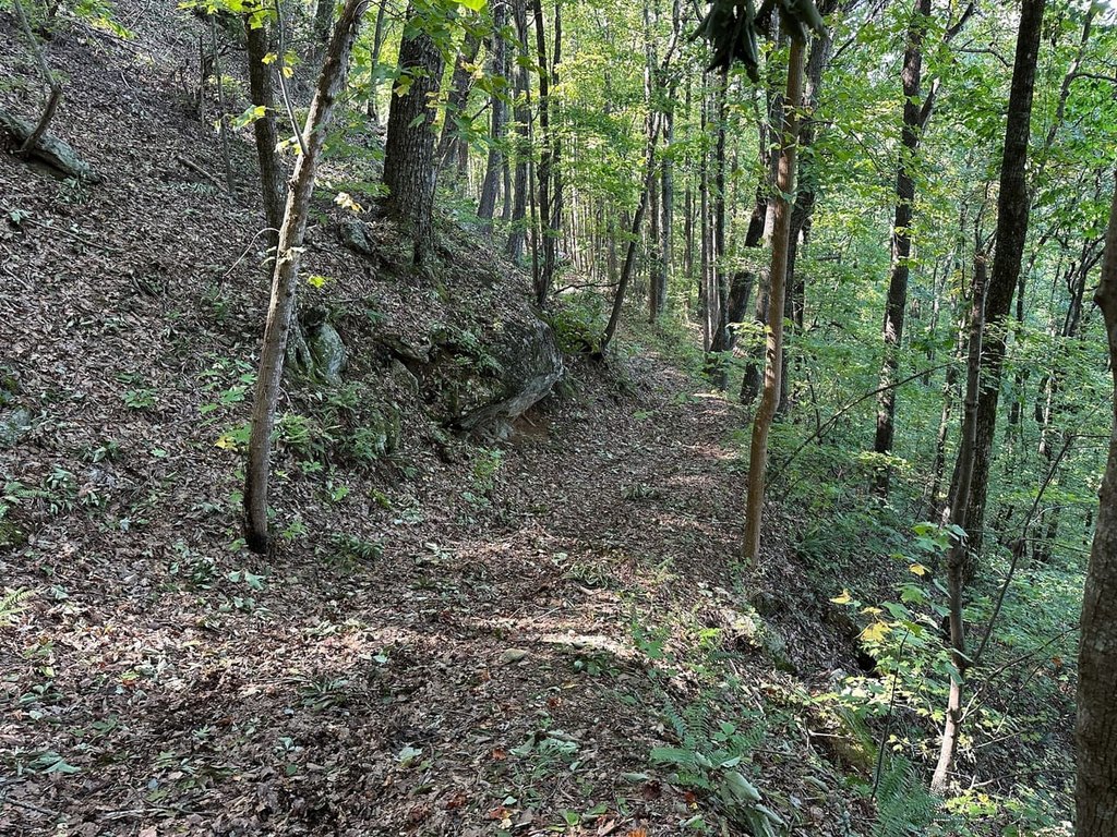 Picture 9