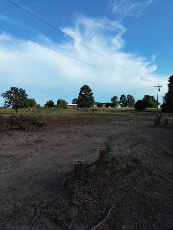 Picture 6